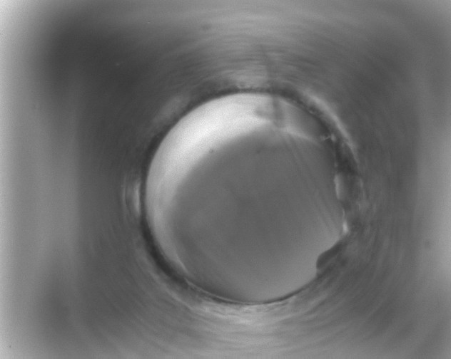 X0000068300019200605051945