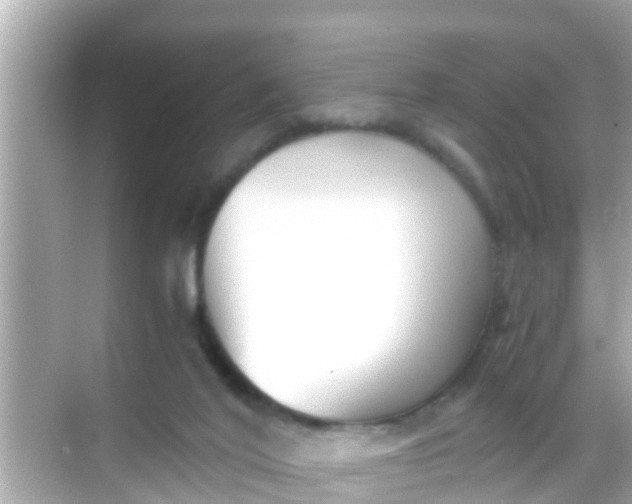 X0000068300020200605051945