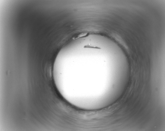 X0000068300021200605051945