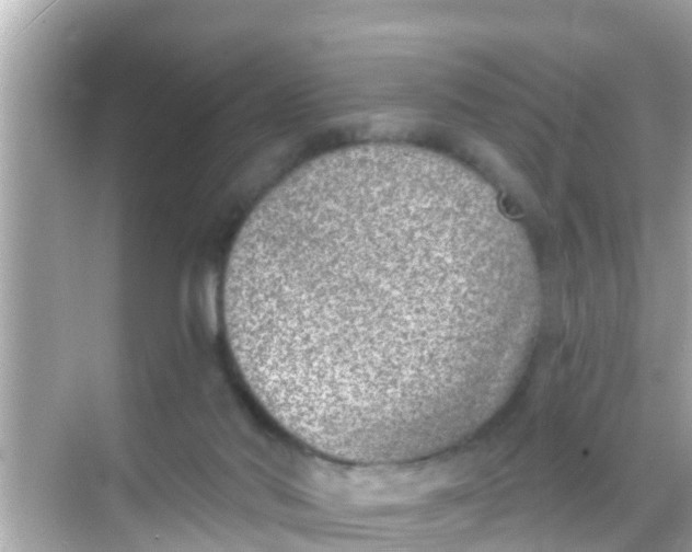 X0000068300022200605051945