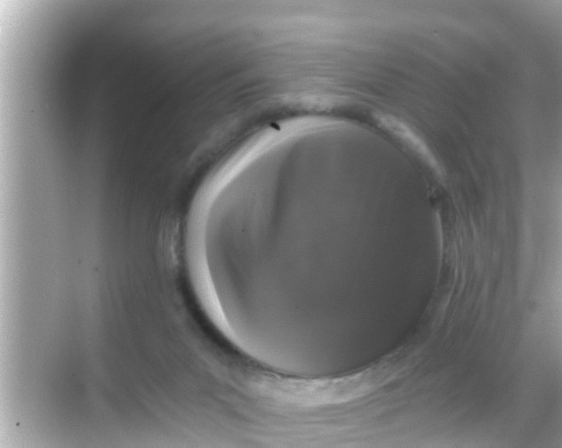 X0000068300023200605051945