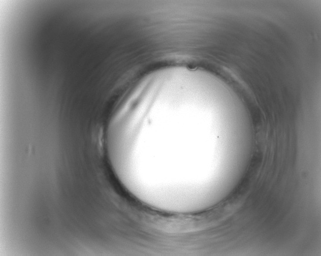 X0000068300024200605051945