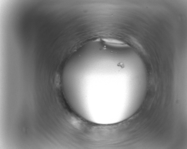 X0000068300025200605051945