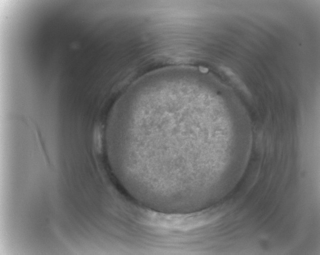 X0000068300026200605051945