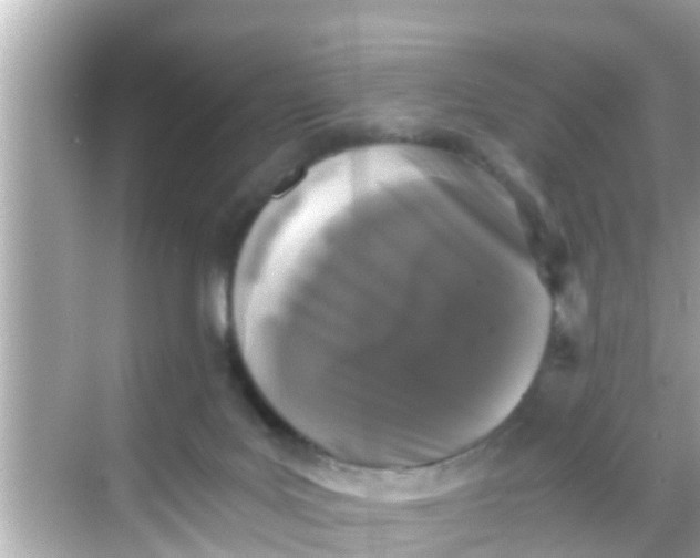 X0000068300027200605051944