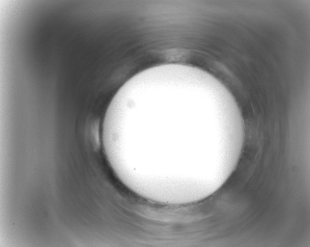 X0000068300028200605051944