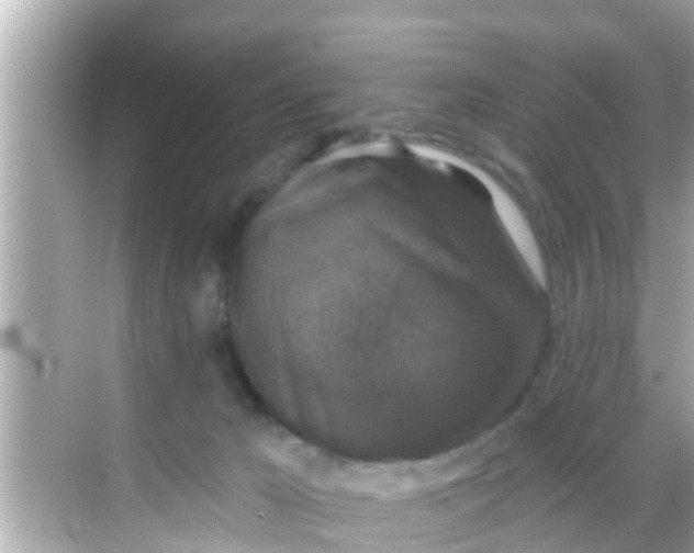 X0000068300029200605051944