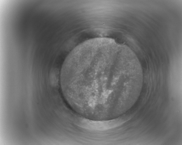 X0000068300030200605051944