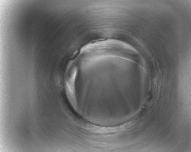 X0000068300031200605051944