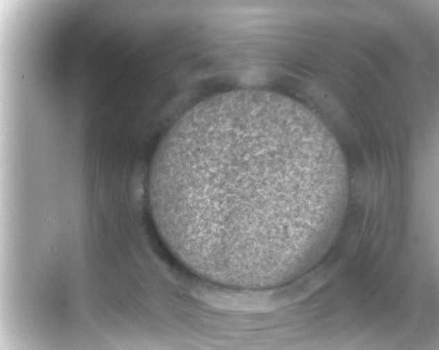 X0000068300032200605051944