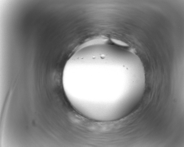 X0000068300033200605051944