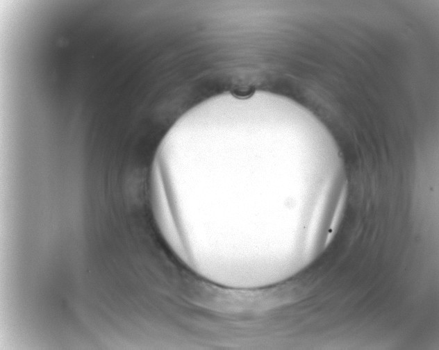 X0000068300034200605051944