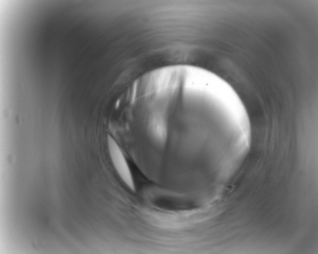 X0000068300035200605051944