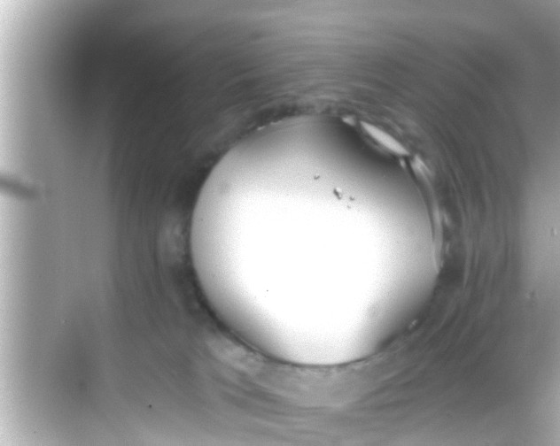 X0000068300037200605051944