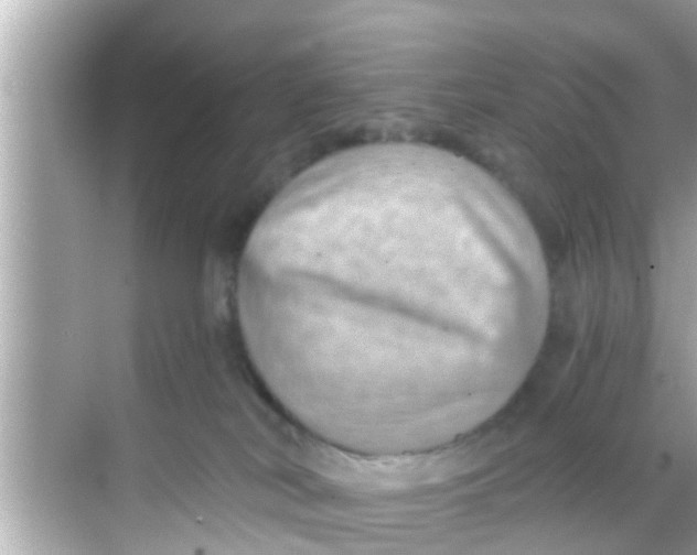 X0000068300038200605051944