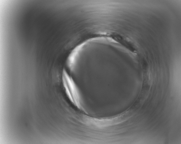 X0000068300039200605051944