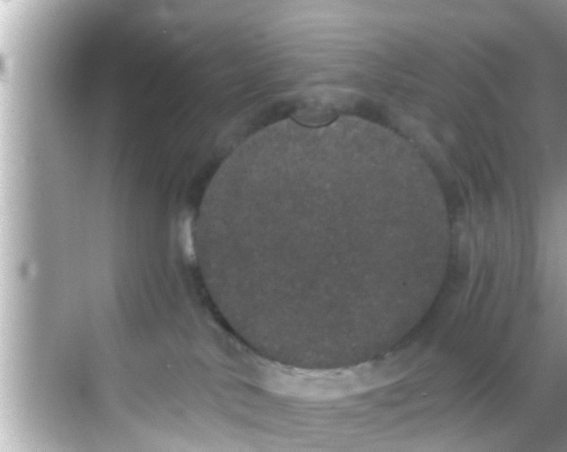 X0000068300042200605051944