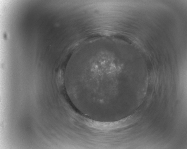 X0000068300043200605051944