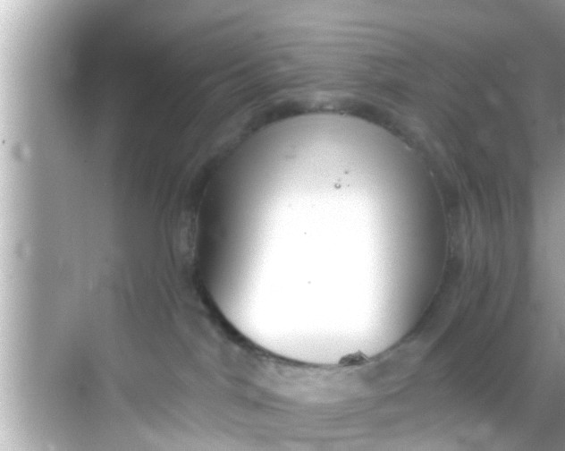 X0000068300044200605051944