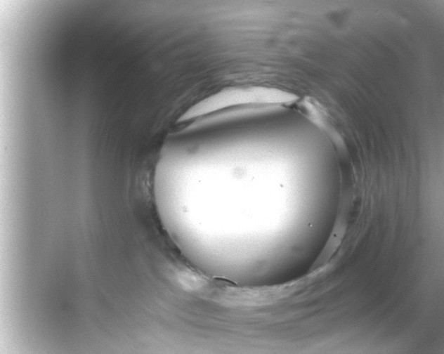 X0000068300045200605051944