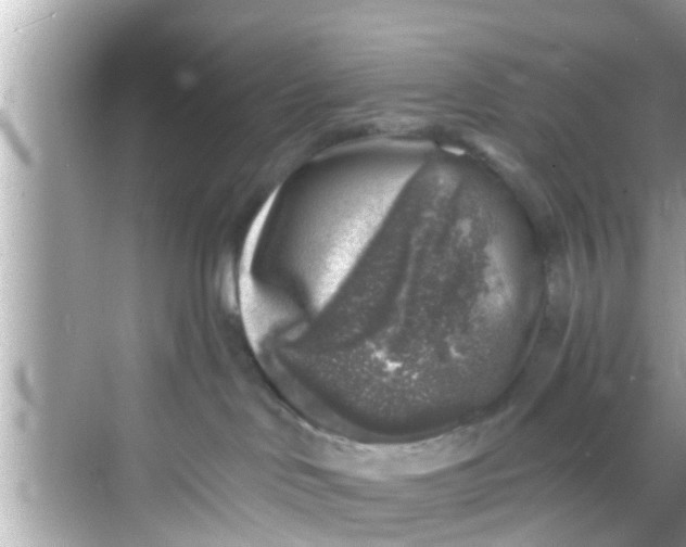 X0000068300046200605051944