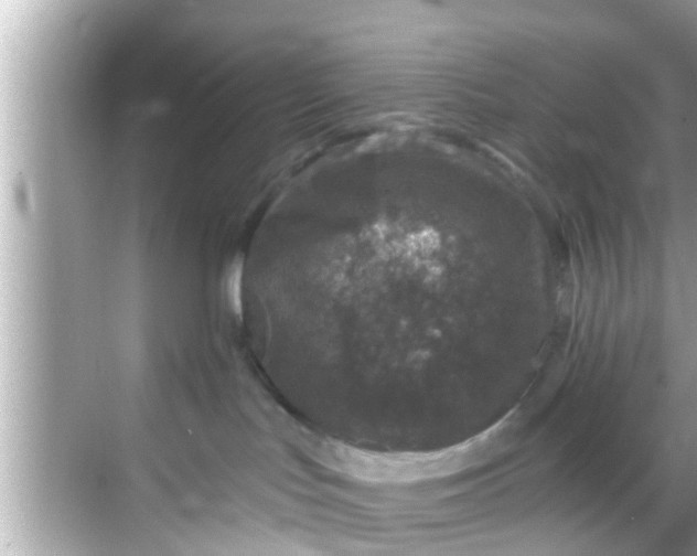 X0000068300047200605051944