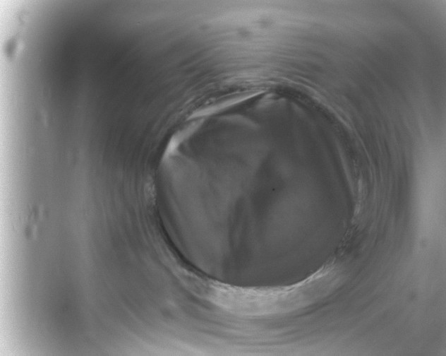 X0000068300048200605051944