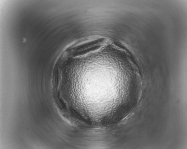 X0000068300050200605051943