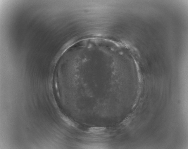 X0000068300051200605051943