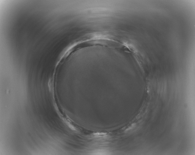 X0000068300052200605051943