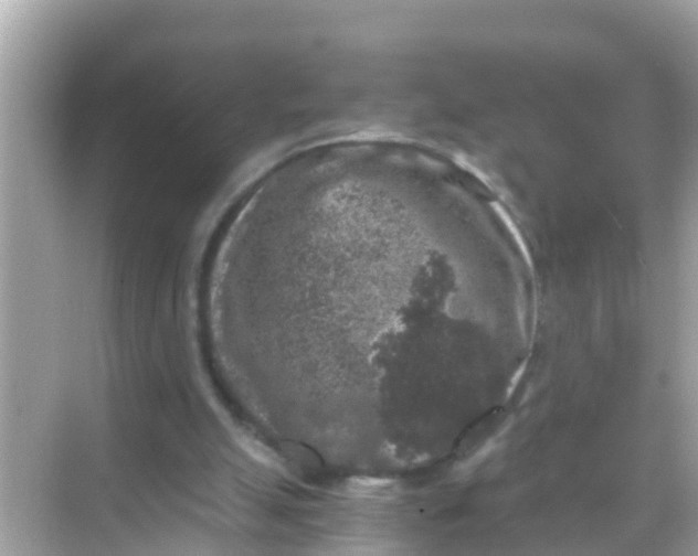 X0000068300055200605051943