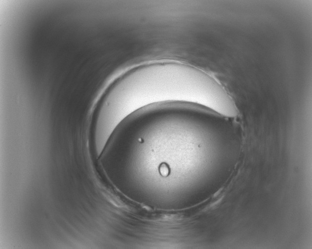 X0000068300056200605051943