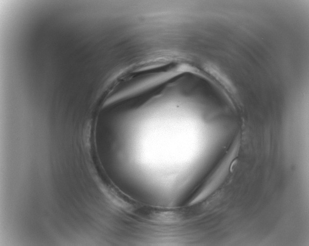 X0000068300058200605051943