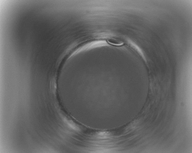 X0000068300059200605051944