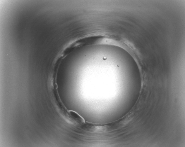 X0000068300060200605051944