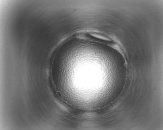 X0000068300063200605051944