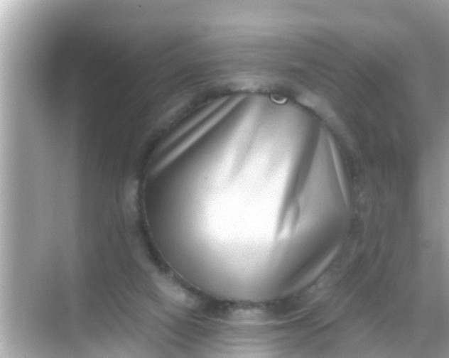 X0000068300066200605051944