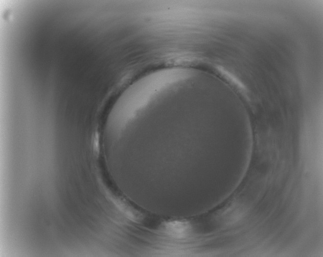 X0000068300067200605051944