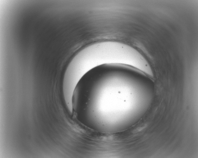 X0000068300068200605051944