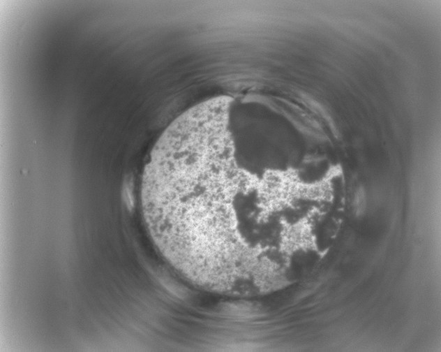 X0000068300069200605051944