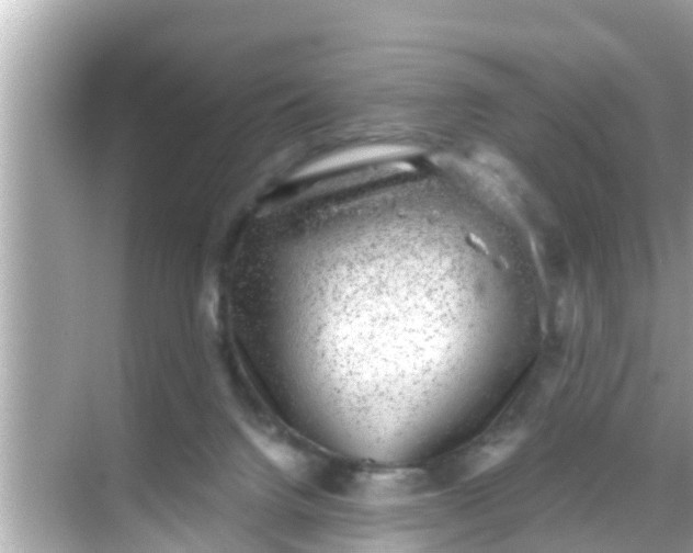 X0000068300072200605051944