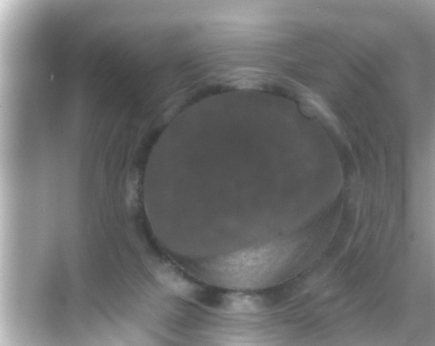 X0000068300073200605051944