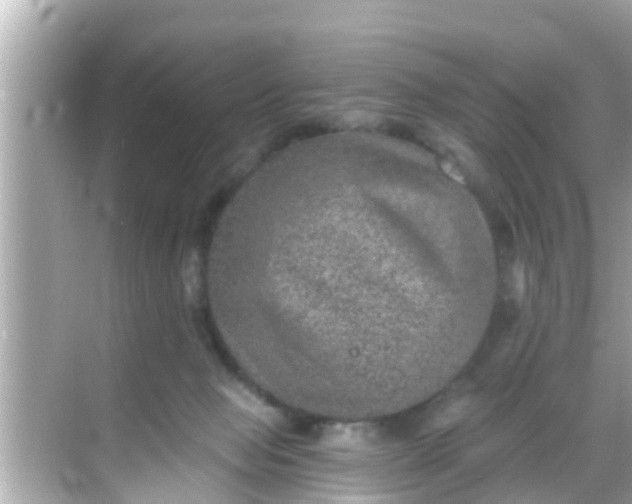 X0000068300077200605051944