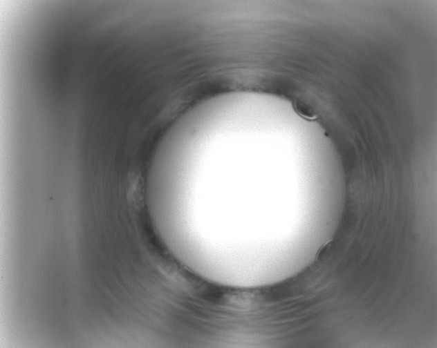 X0000068300079200605051944