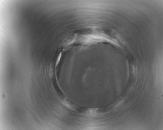 X0000068300080200605051944