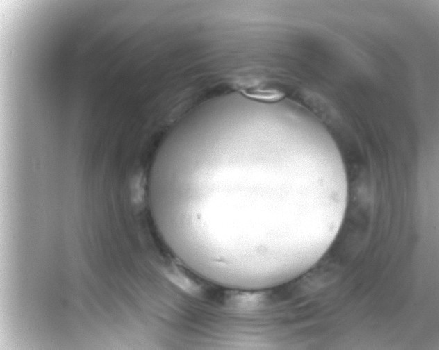 X0000068300081200605051944