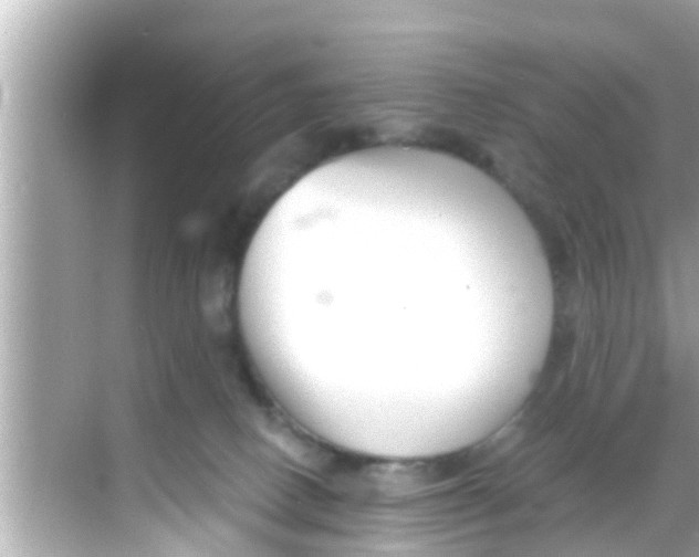 X0000068300082200605051944