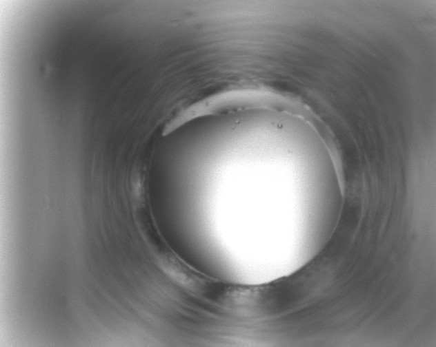 X0000068300084200605051944