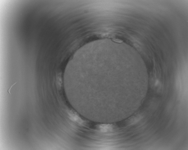 X0000068300085200605051944