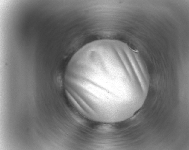 X0000068300086200605051944